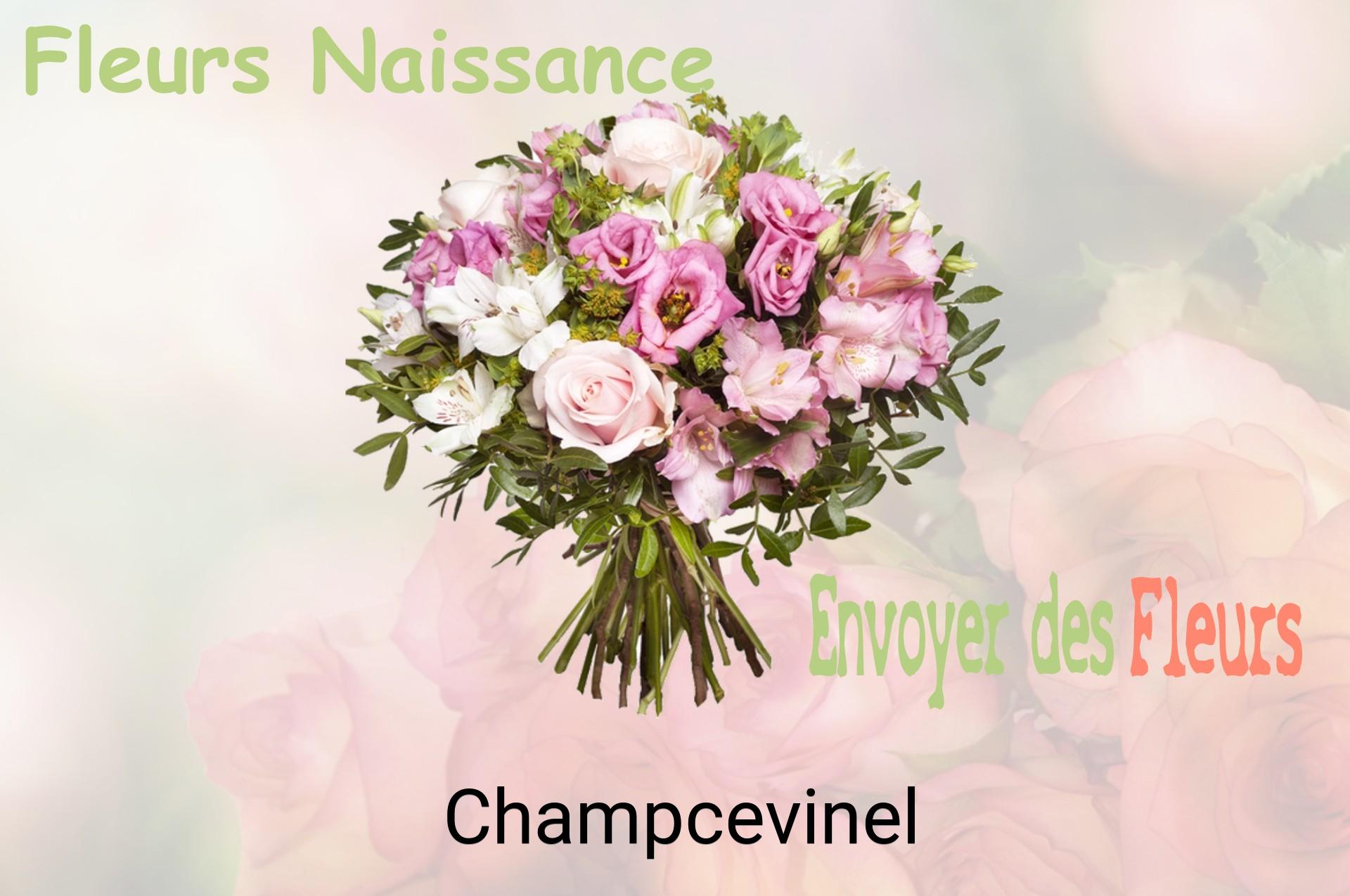 Bouquet de fleurs de naissance livré à Champcevinel